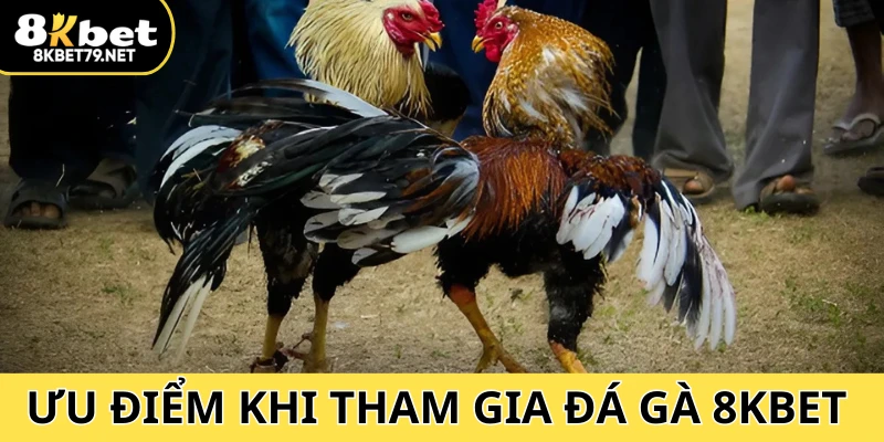 Video chất lượng cao với nhiều góc quay nét
